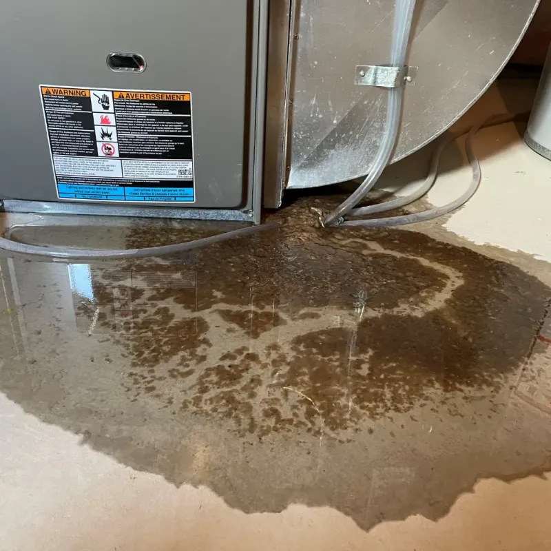 Appliance Leak Cleanup in Ball, LA